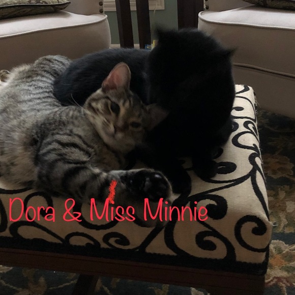 Meet your Posher, Janice - Picture 1 of 1